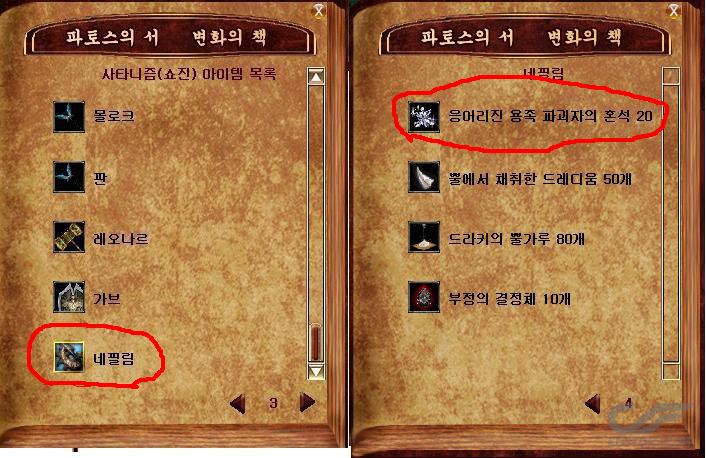 555.JPG