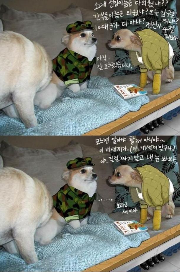 2-1.JPG
