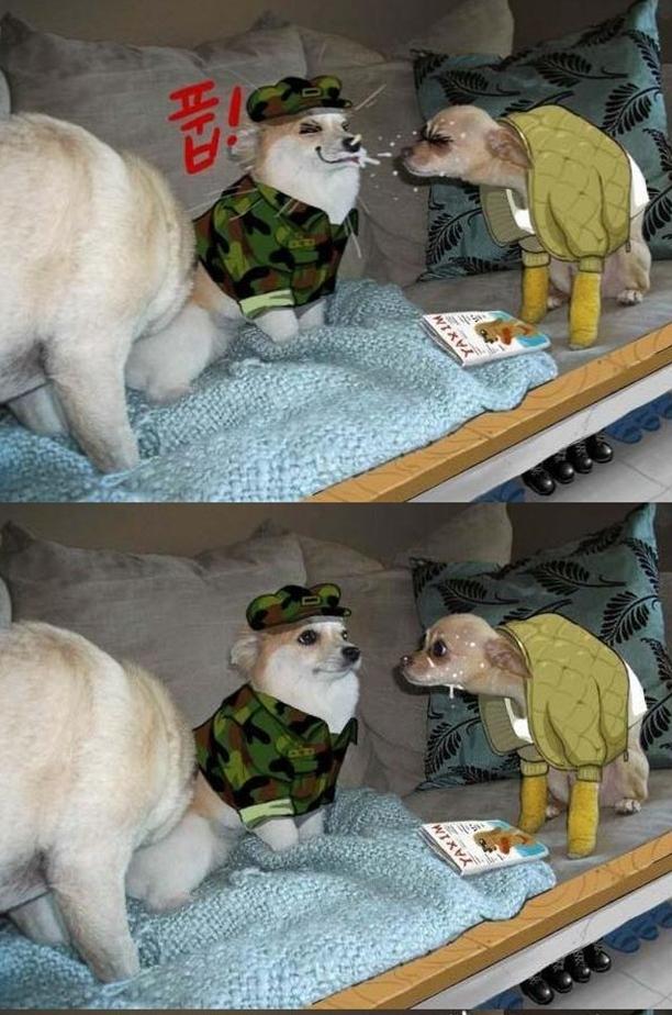 5-1.JPG