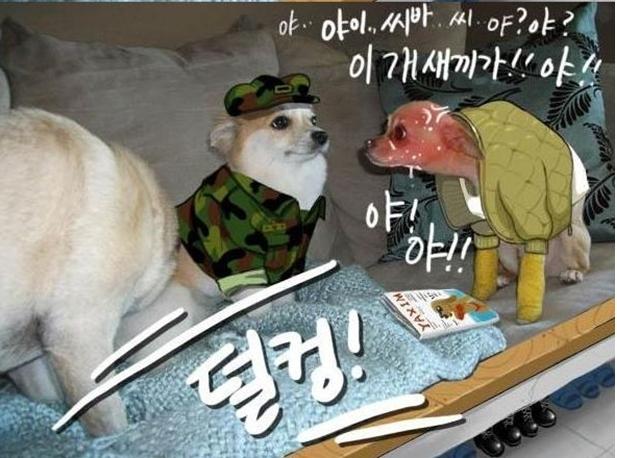 6-1.JPG
