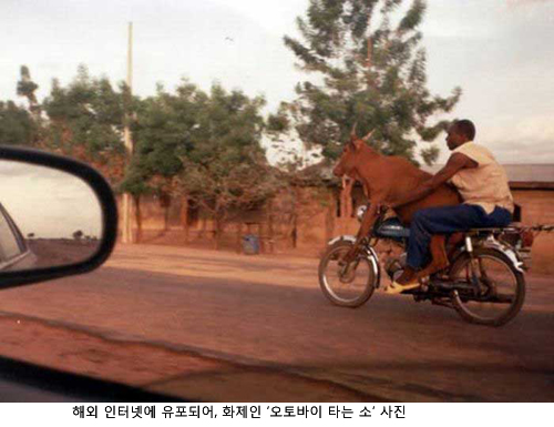 123.jpg