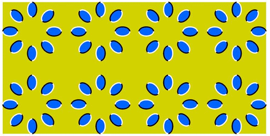 1.gif
